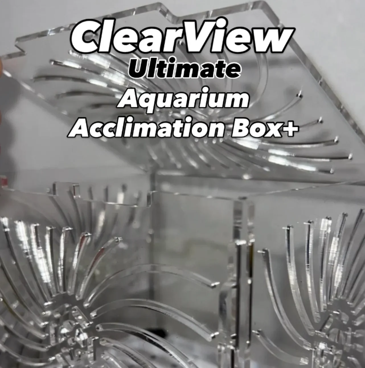 Acclimation box aquarium accessory